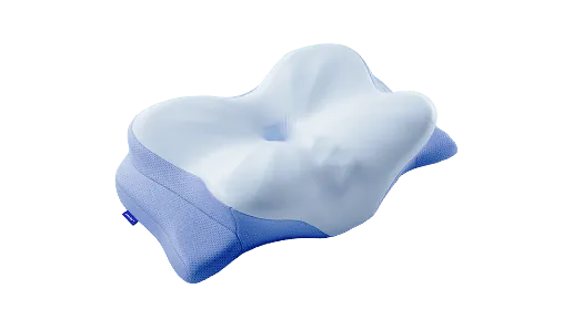 One Derila Ergo pillow