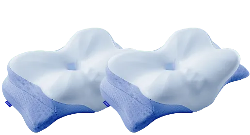 Derila Ergo two-pillow pack