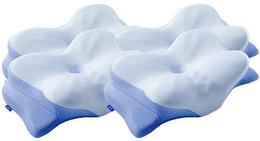 Derila Ergo Family Pack with four pillows