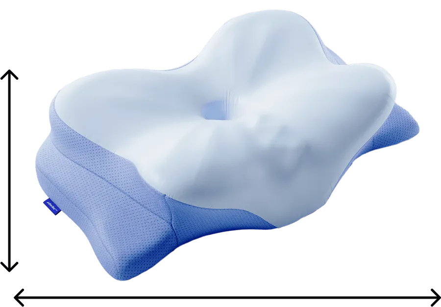 Derila Ergo pillow dimensions, 21.2 by 14.1 inches